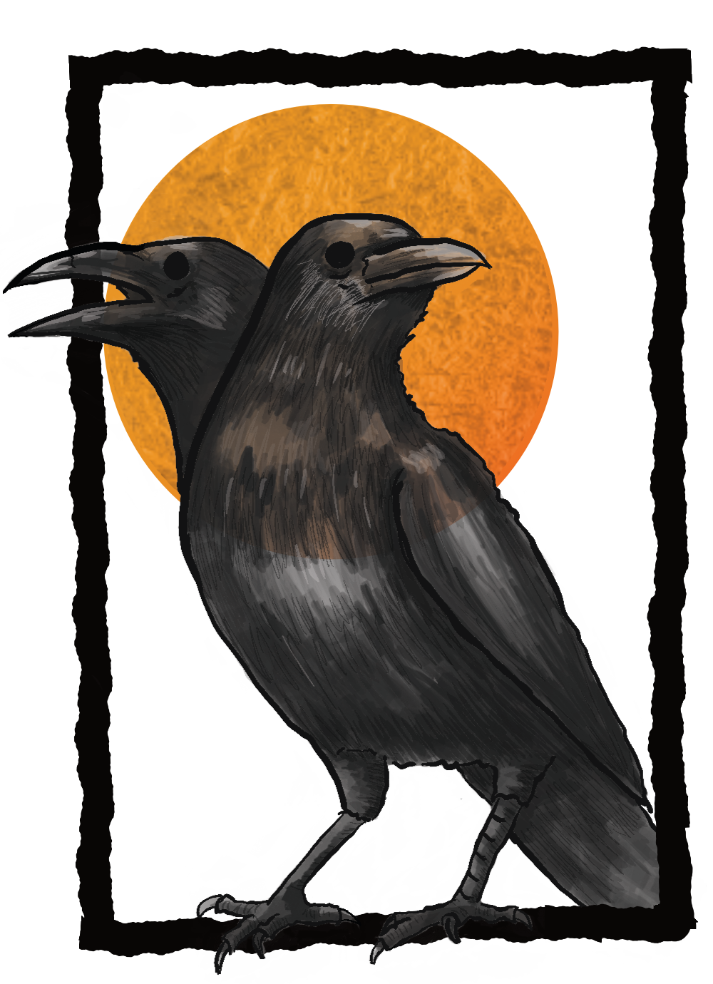 Crow
